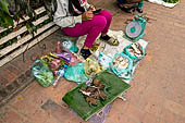 Luang Prabang, Laos - The day market.